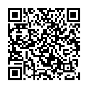 再加上林铭因为明知道这枪拿出来就会在激战中很快暴露二维码生成