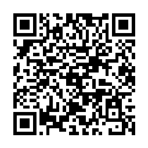 再加上混沌钟在抵挡这些恐怖能量时所消耗的力量二维码生成