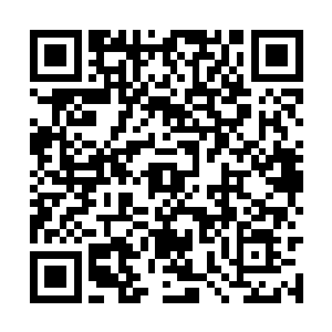 再加上笨大儒田松石的帆船能力是压制附近的风浪二维码生成