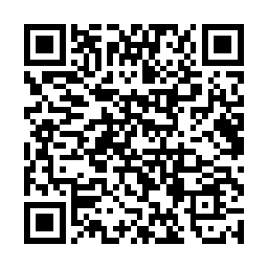再加上第七军三万人以及龙啸天留下的三十万青龙军二维码生成