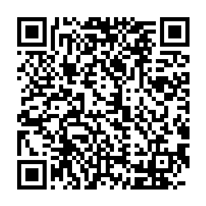 再加上系统强化楚旬精神力时带来的恐怖剧痛也强化了楚旬的负面情绪二维码生成
