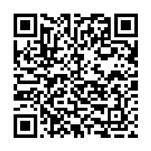 再加上自己的鉴宝经验和对华夏国历史的小部分了解二维码生成