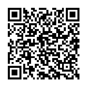 再加上自身野蛮人血统的加成和法术物品的帮助二维码生成