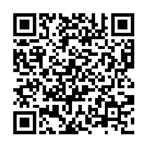 再加上艾米丽原本就是阿斯特拉艾亚学院的焦点人物二维码生成