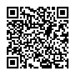 再加上苍白之手和海底隧道里的怪物们提供的杀戮经验二维码生成