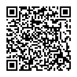 再加上苍白之手这个传奇职业的正面作战能力是盗贼的传奇进阶中最强悍的二维码生成