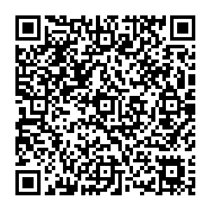 再加上苏落在魔界搞出那么多风风雨雨……这一旦落到魔帝手里……这肯定会被魔帝拎回去生猴子的二维码生成