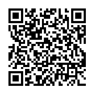 再加上茶水之中所带着的一丝若有若无的松叶的香味二维码生成