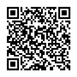 再加上蒂姆一罗斯和布鲁斯一威利斯的紧接拜访二维码生成