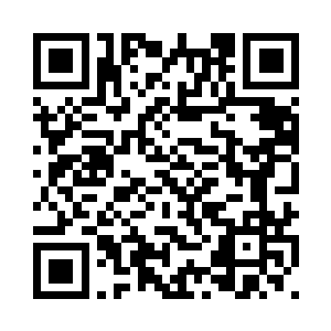 再加上蒋云英也偶尔会插上一两句二维码生成