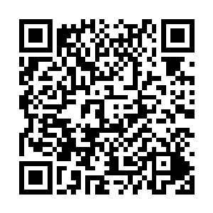 再加上蒋肖娟和夏明鹏的长相依稀有夏云杰的影子二维码生成