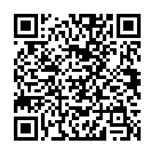 再加上虎啸山风虎一族明显不同于其他虎族的来历二维码生成