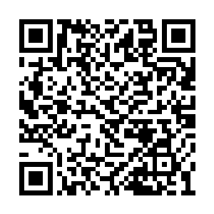 再加上虎魄刀从龙龟处吸回的生命之力进行补充二维码生成