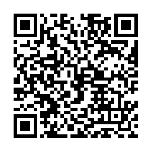 再加上血修罗在一次次战斗中通过吸取精血和神魂强化自身二维码生成
