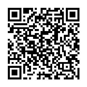 再加上被凌云的各种神异的表现都震撼的快要麻木了二维码生成