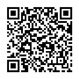再加上还有一个关键时刻能拔剑站在前列死战的统帅萧言二维码生成