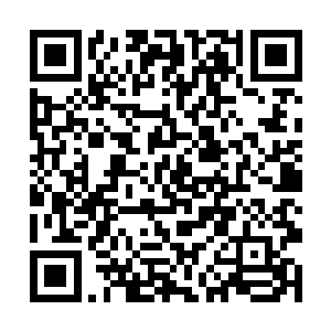 再加上这二人来到凤府时就是打着康颐不会管教孩子二维码生成