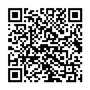 再加上这些年范家也一直在遵守着两家的约定让他家的二维码生成