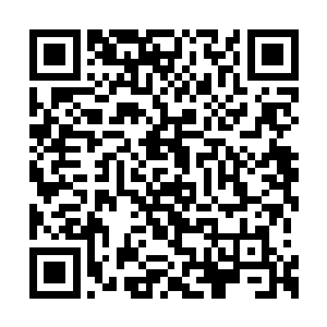 再加上这六个高手和他们带来的人实在是太强了二维码生成