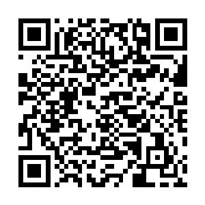 再加上这西行取经本就是关系到佛门在南瞻部洲传道之事二维码生成