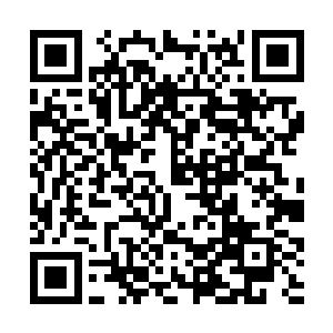 再后来就连偷偷抢抢这类暴力犯罪的案底也有了……二维码生成