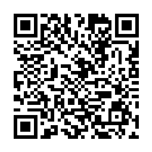 再坚硬的门闩也扛不住这些追求天道的修真者随便一下啊二维码生成
