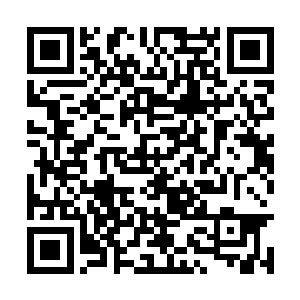 再外围才是这次参加血战的各个军团高级军官居所二维码生成