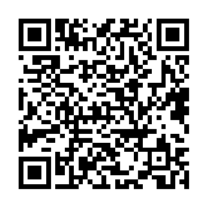 再就是老真人怕我被他领进了宝山却不知如何捡宝二维码生成