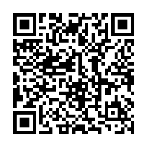 再开口是说幸好我知道汪大锤和杰西会被送来骨器店二维码生成