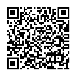 再往前飞一上午估计我们就到了神州域的范围了二维码生成