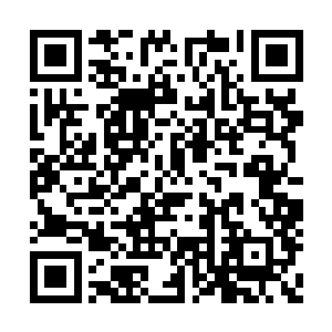再往后是一个胖子和一个大个还有一个黑衣青年二维码生成