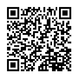 再怎么说现在他和黄衣女子也是同一条船上的人二维码生成