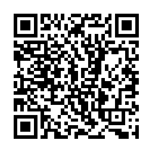 再想到小姐从小少爷出生到现在还没见过小少爷的面二维码生成