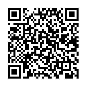 再想到这小子还拥有金鳞龙鱼万年修为内丹作为底蕴二维码生成