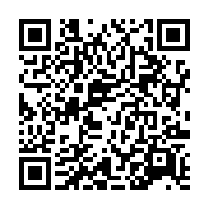 再想想刚才他是怎么身手敏捷地从那后面翻过来的……二维码生成