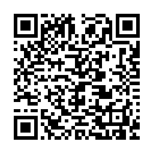 再抓来周臣或者任紫河都未必比天天跟着蓝苒的商珺知道得多二维码生成