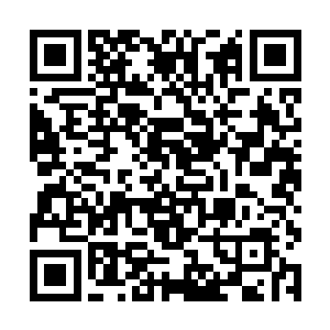 再折服丹田穴窍境中期的魃……我的名声会达到巅峰二维码生成