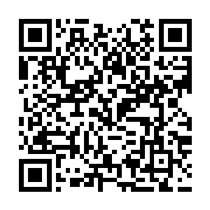 再抬眼看看那72个靶子……颜枭的眼泪真要流下来了……二维码生成