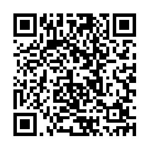 再有一个可能是觉得夏天不跟她夏玲姐抢来抢去地二维码生成