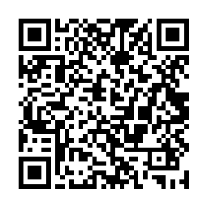 再有鲁肃确确实实是个值得令人钦佩的大善人兼人才二维码生成