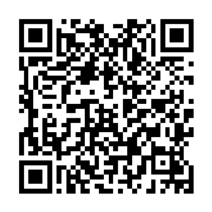 再次之前也有不少队伍经理来到了LH战队这里来约训练赛二维码生成
