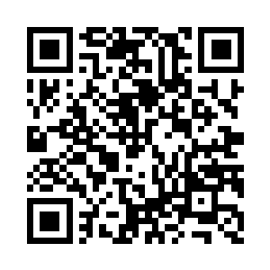 再次从自己的小乾坤袋中拿出了两块元石二维码生成