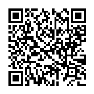 再次出现的时候已经站在了茅楚楚很远的对面空域二维码生成