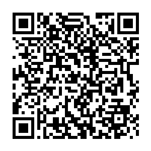 再次回头看向棺材里的穆凡君突然和躺在棺材里的男子目光对上了二维码生成