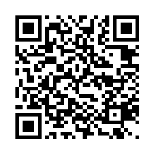 再次将注意力转移到了公司的报表上二维码生成