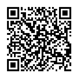 再次朝影帝小金人发起冲击的雨果是否会输给尼古拉斯呢二维码生成