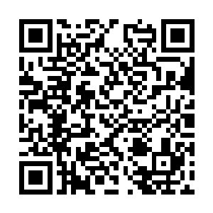 再次检查了灰石山上种下的三十四株噬血妖藤之后二维码生成