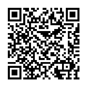 再次睁开眼睛时自己已经在一块大黑石头附近了二维码生成