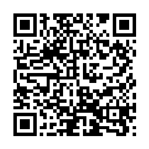 再次见到池佳一只觉得池佳一身上的气息十分晦涩二维码生成