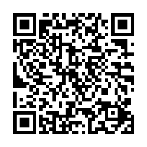 再没有什么比周围有一群人保护自己更让他们感到安全了二维码生成